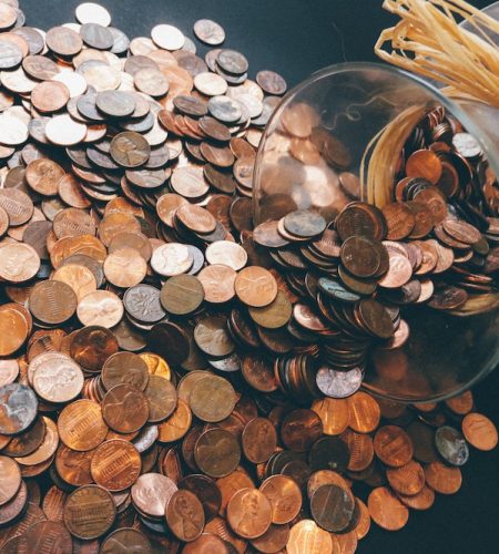 pexels-pixabay-259165